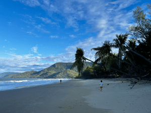 East Coast Australia Family Friendly Road Trip, Part 3: Cairns To Daintree Rainforest